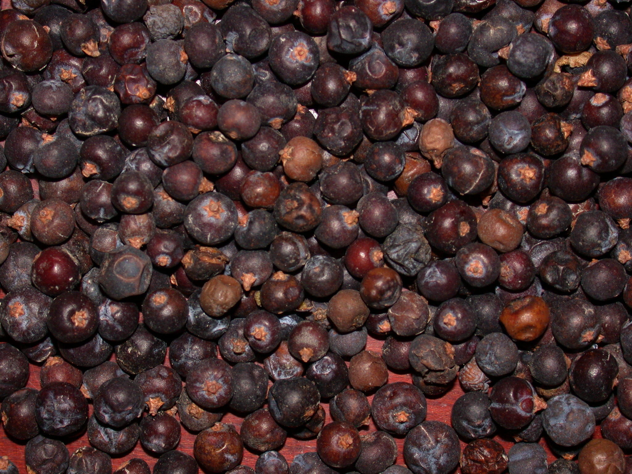 Herb Magic Catalogue Juniper Berries