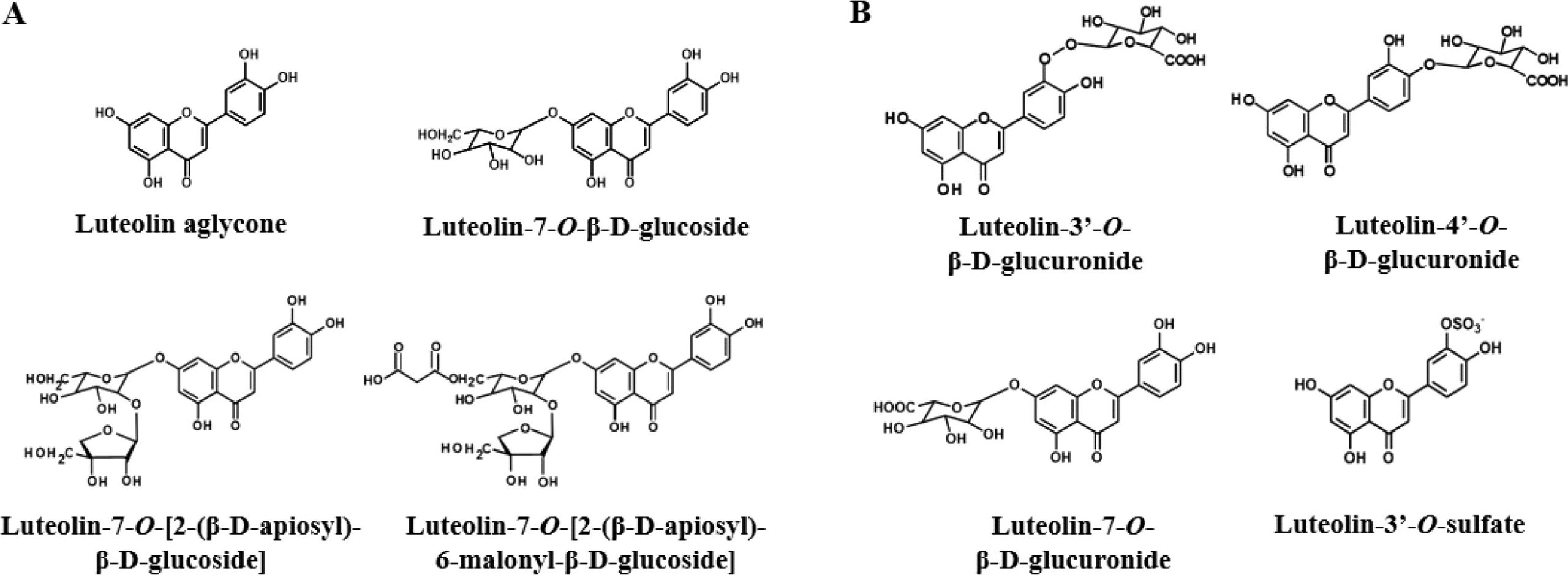 Latest Research,Luteolin regulates intestinal flora to improve diabetes