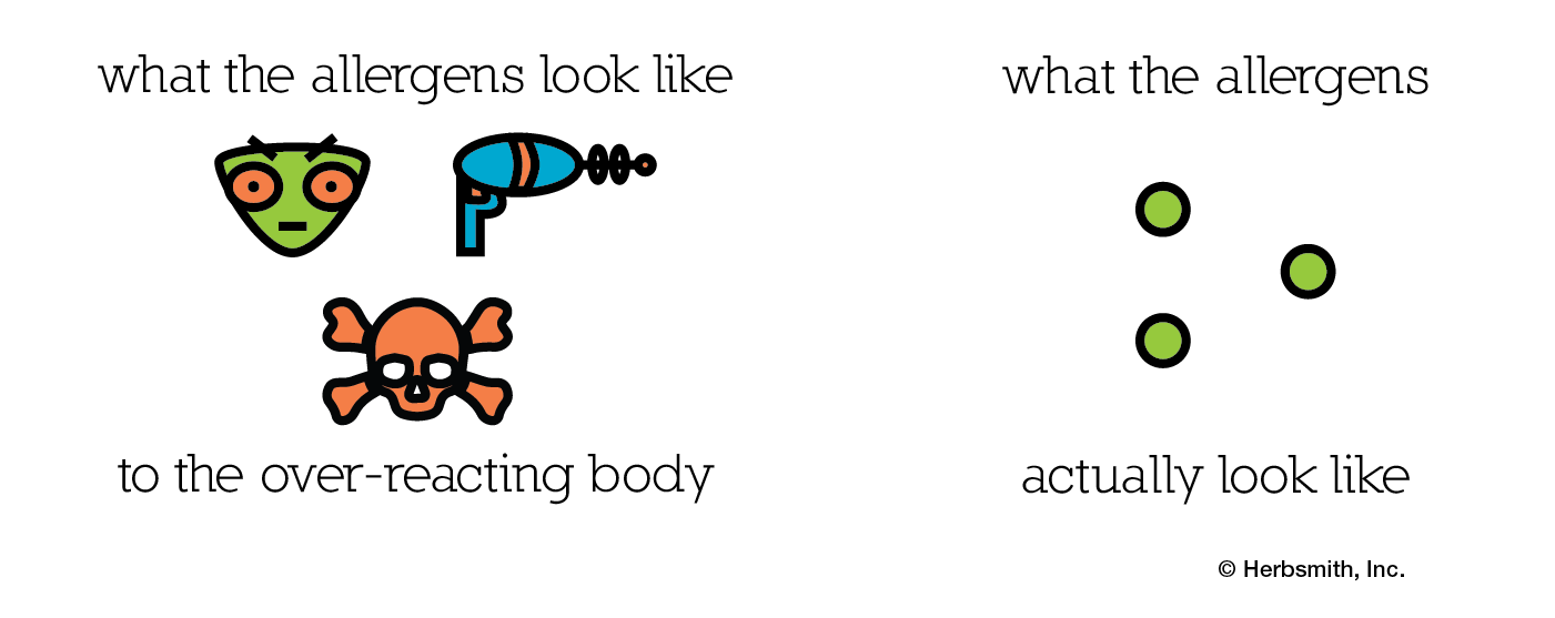 Boiling Over An Intro to Allergies Herbsmith