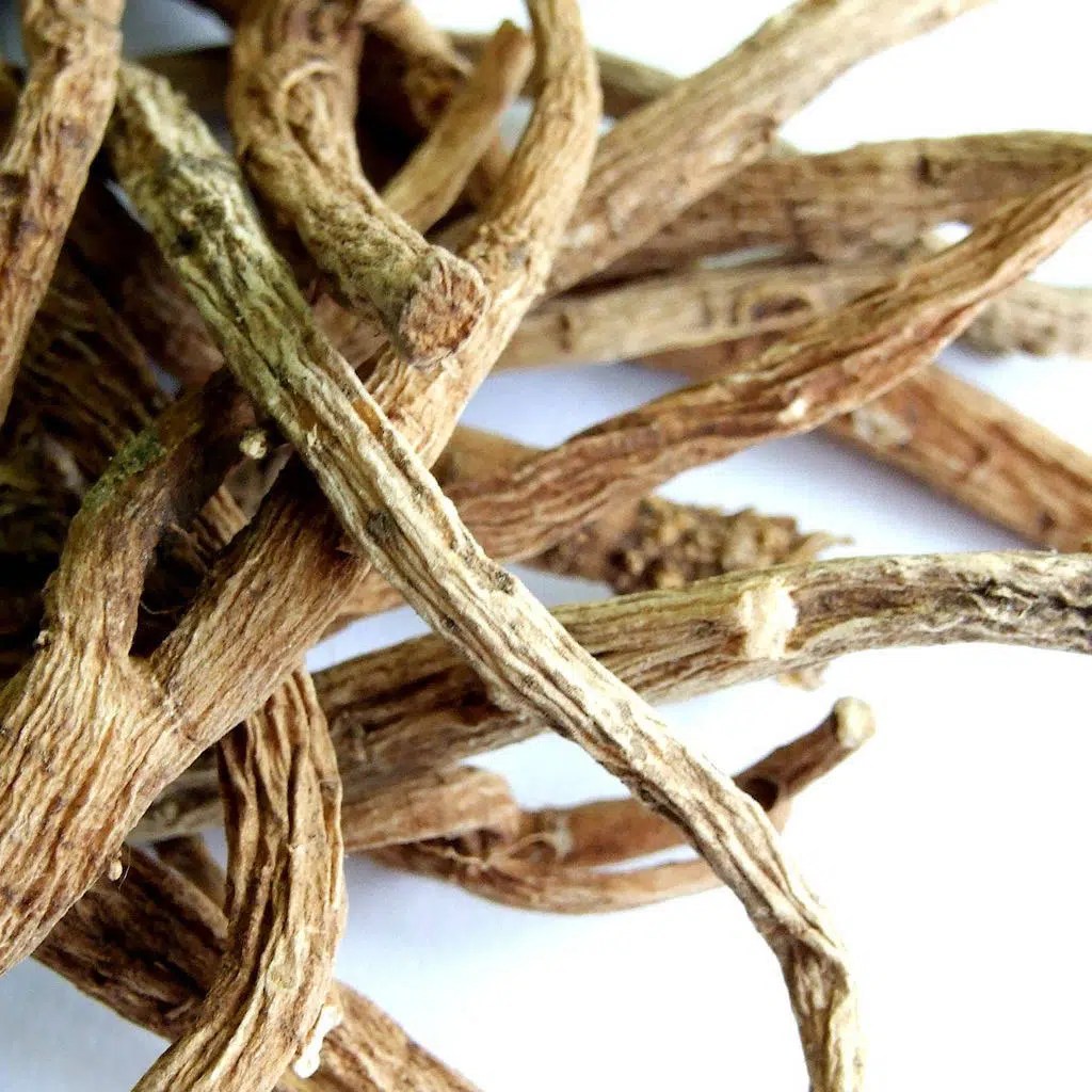 Buy African Dream Root Online Herb Stomp