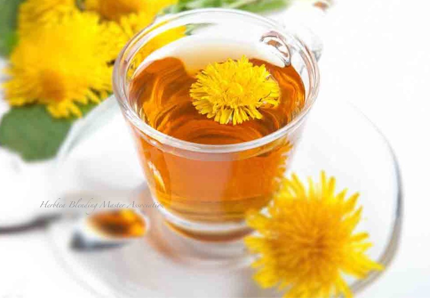 ダンデライオンルート ハーブティーコミュニティー
