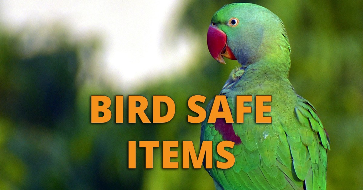 Bird Safe Supplies & Accessories Cookware, Toys, Paint, Plants