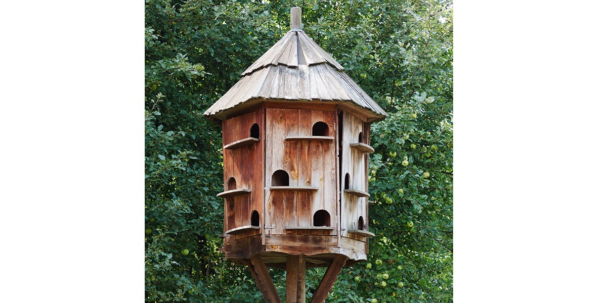Dovecote Birdhouses designs, plans and reviews of the best