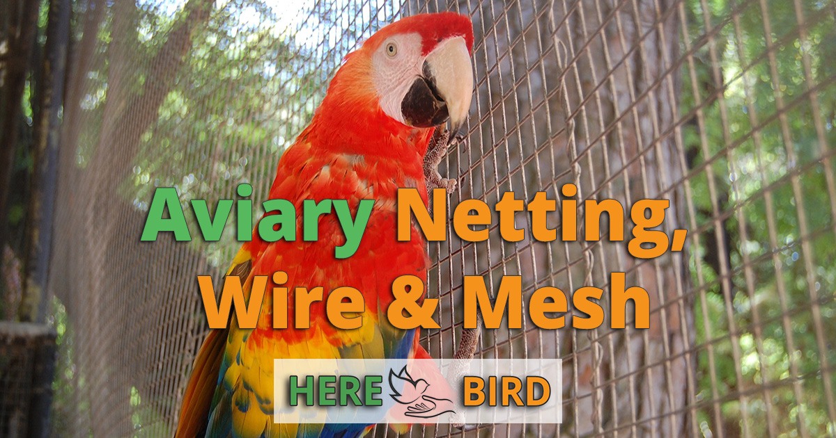 Aviary Netting & Aviary Mesh For Birds Poultry, Parrots and Game
