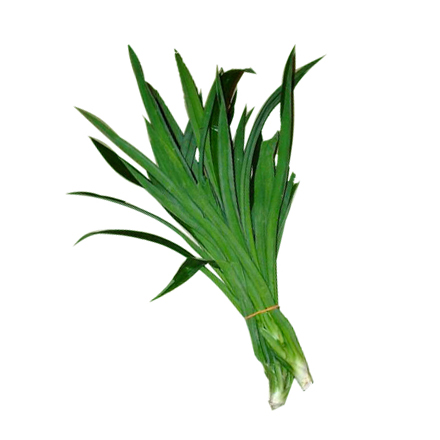 pandan-bundle.jpg