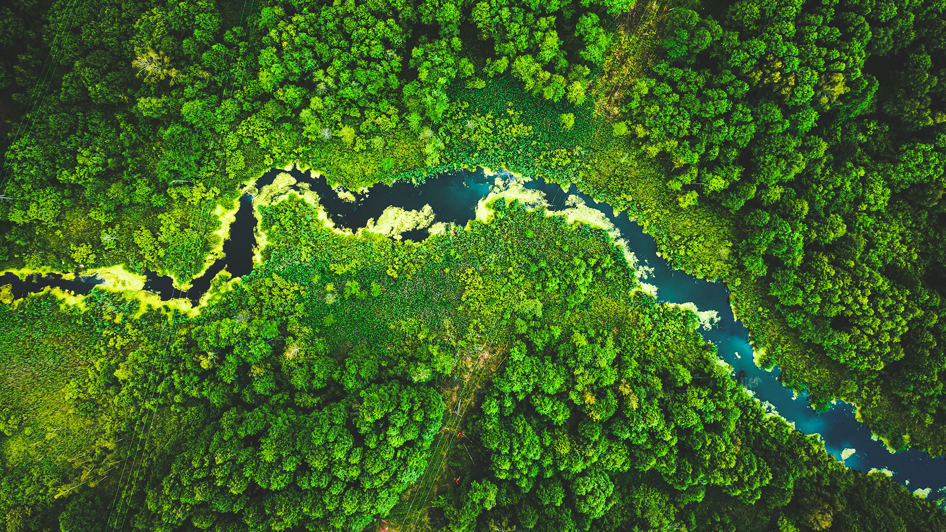 Login Heritage Environmental Services