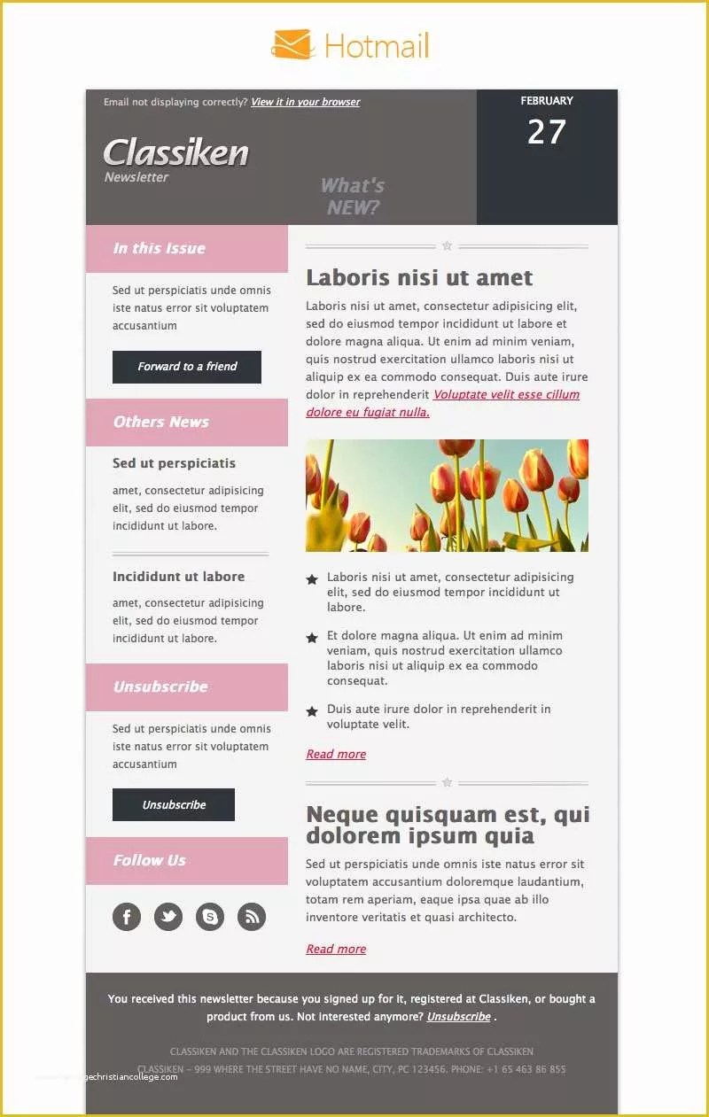 Html Newsletter Templates Free Download Of Template Newsletter HTML