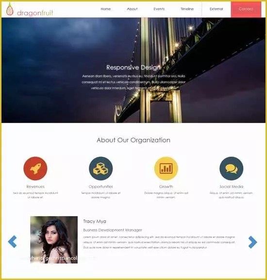 Html5 Portfolio site Templates Free Download Of 50 Free Responsive