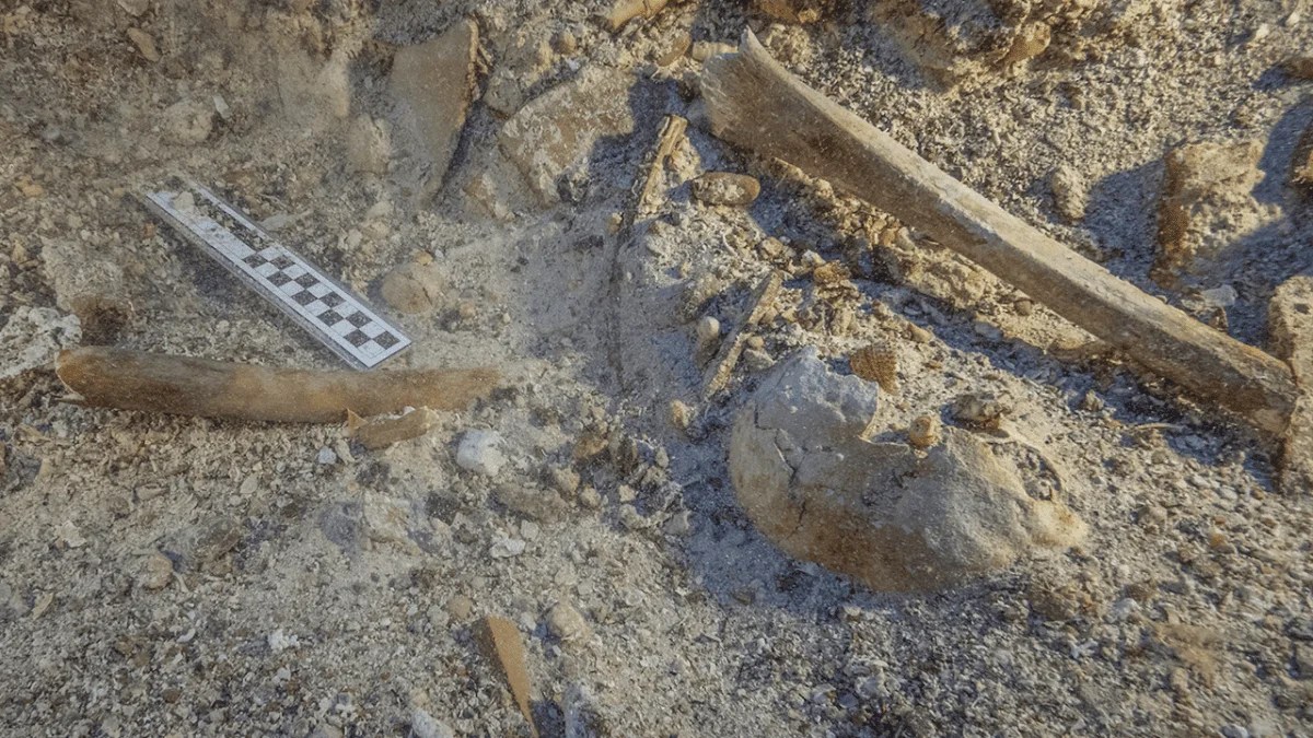Ancient Skeleton Discovered on Antikythera Shipwreck HeritageDaily Heritage & Archaeology News