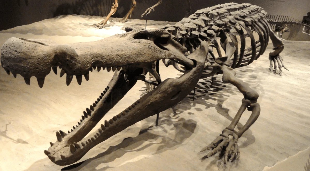 Paleobiologists make intriguing new discoveries about dinosaurs' ancestors HeritageDaily