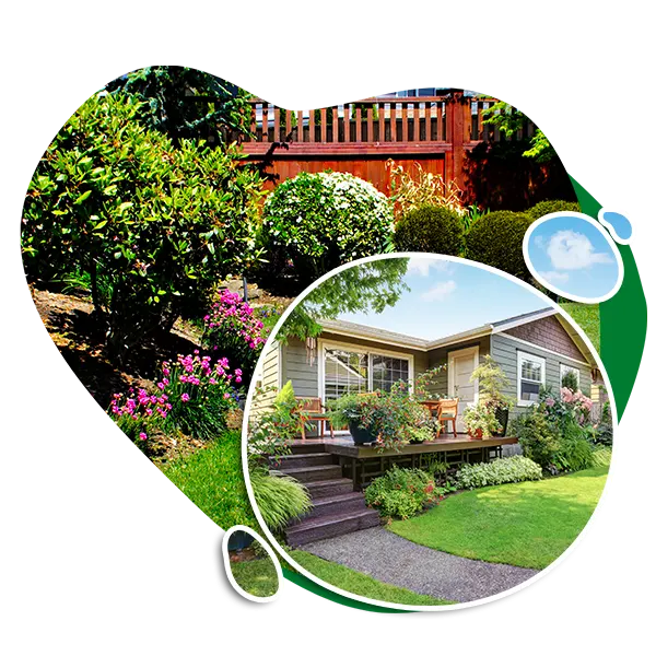 Hernandez Landscaping Book Your Appointment