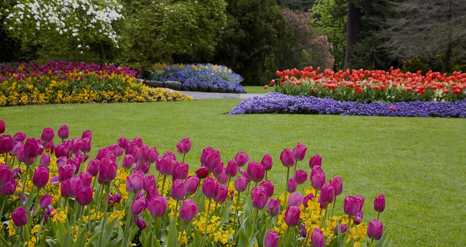 Hernandez Landscaping Book Your Appointment