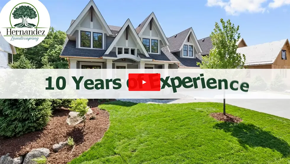 Landscaping Results Hernandez Landscaping