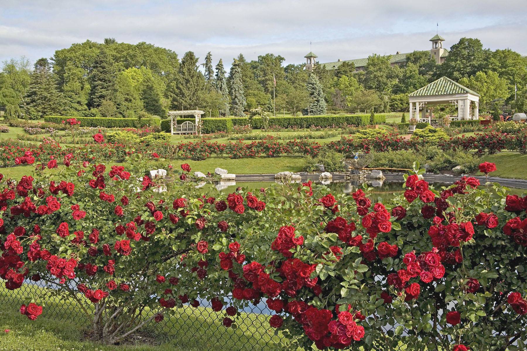 Roses Gallery Hershey Gardens