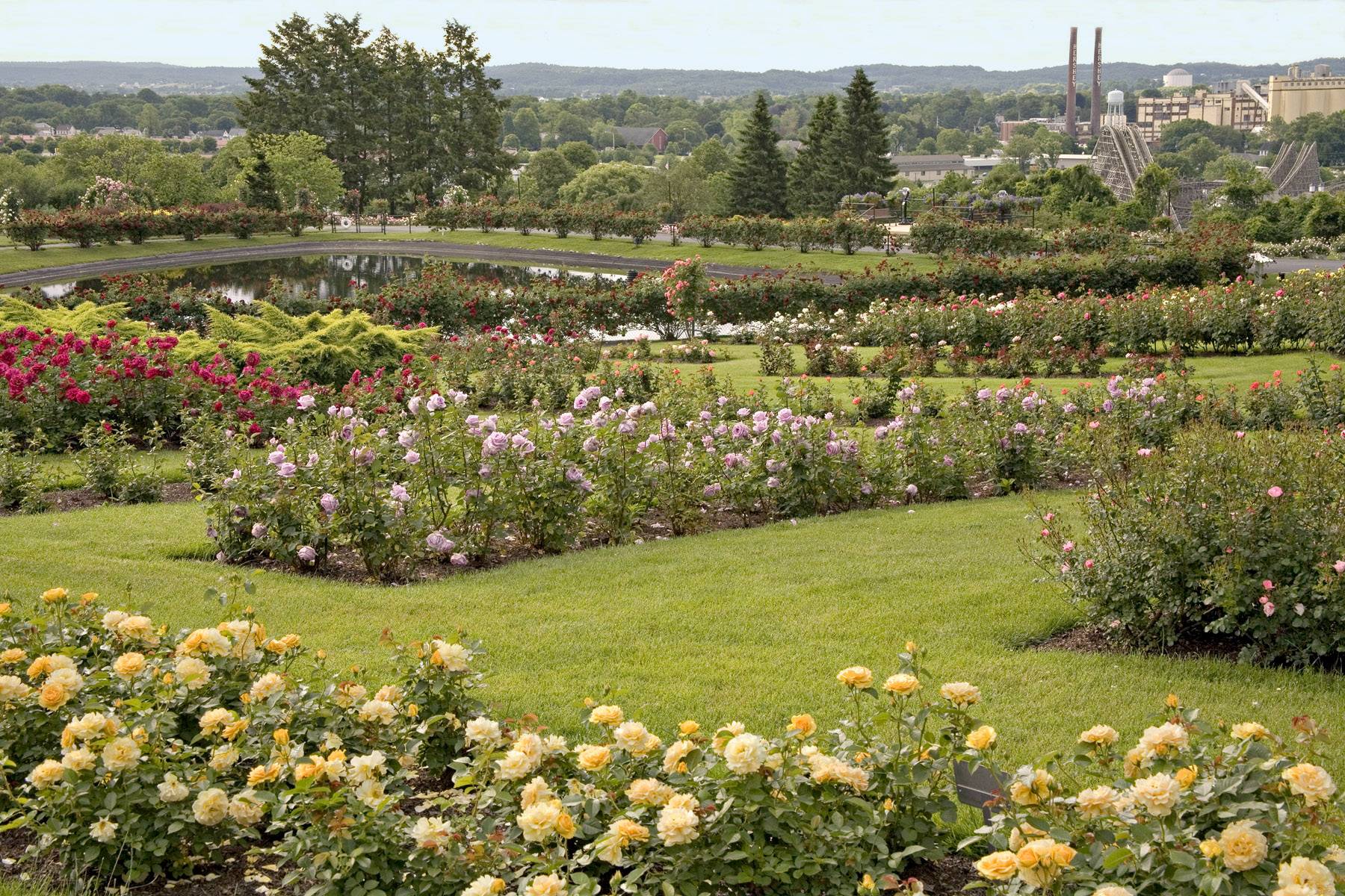 Roses Gallery Hershey Gardens