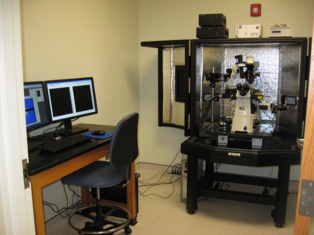Crypt and AVI-200S Supporting AFM