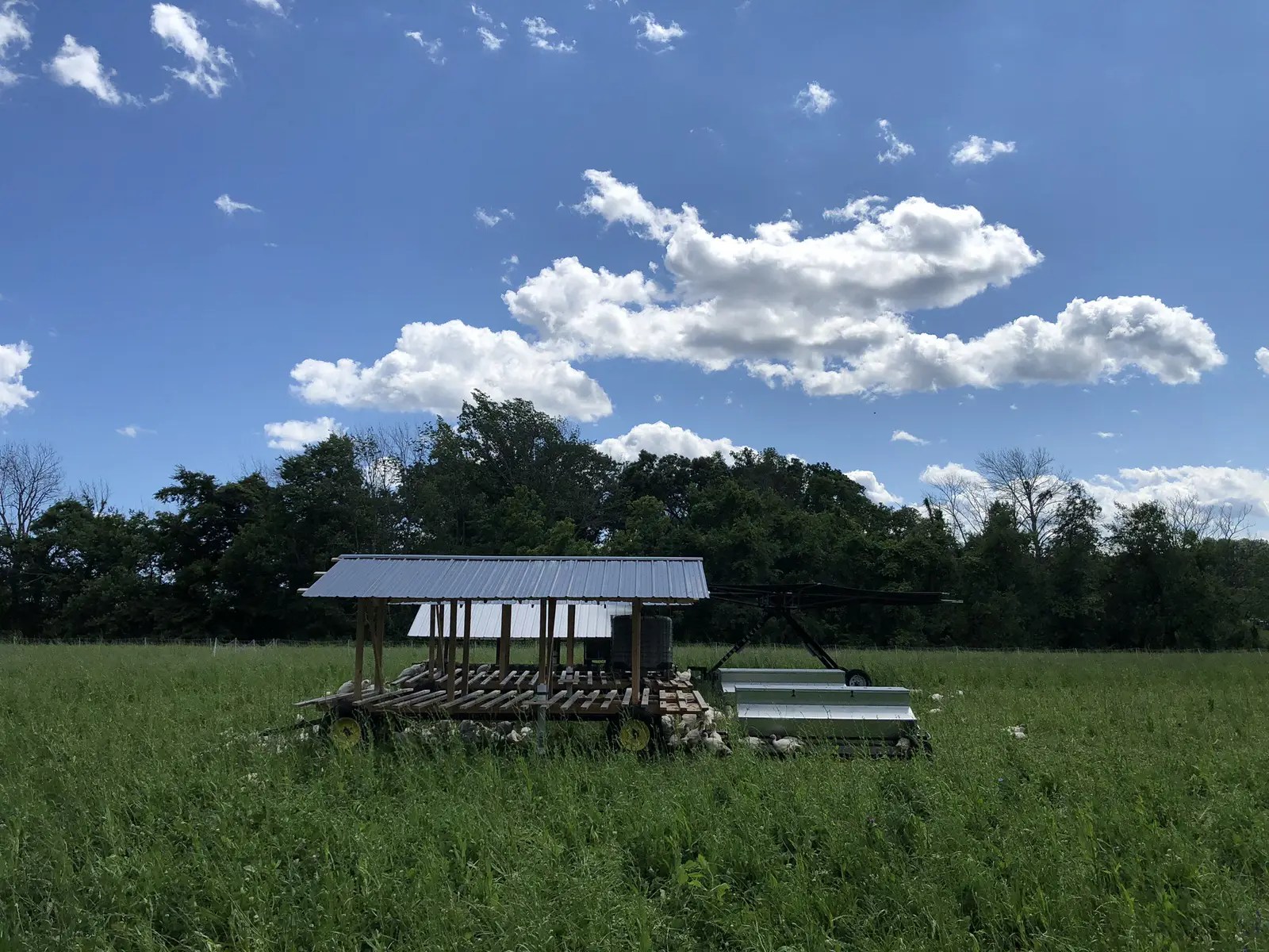 Office Outing Carversville Farm! « Hess Landscape Architects