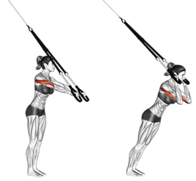 TRX Tricep Extension The Benefits and Common Mistakes to Avoid