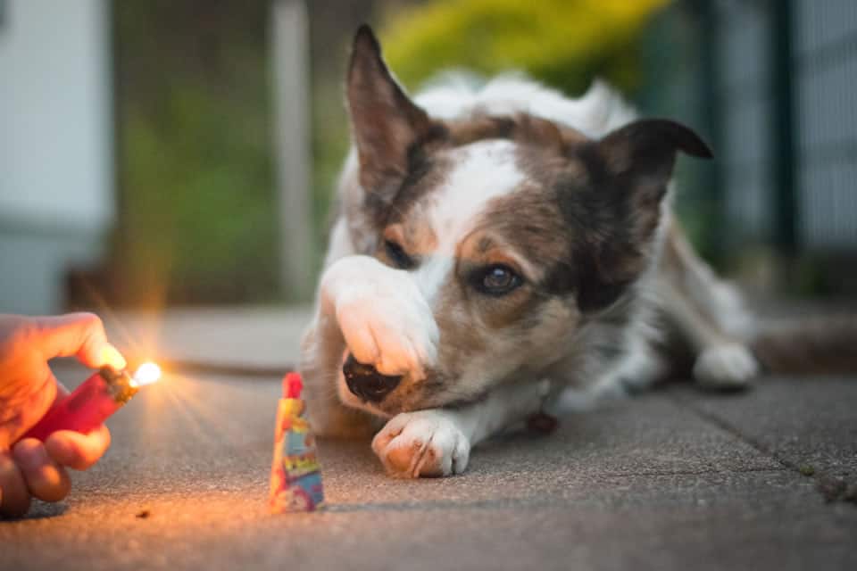 Jetzt schon für Silvester üben Teil 1
