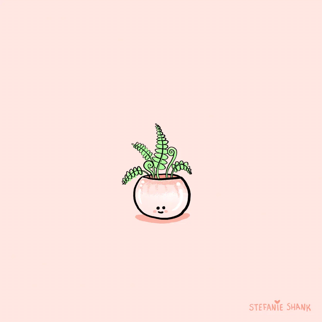 Plants for People Who Are Bad at Plants Alma
