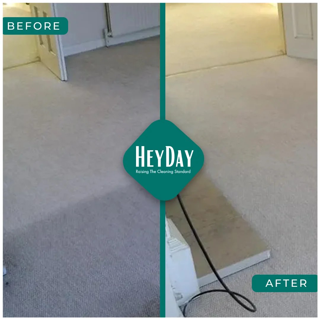 Carpet Cleaning Services Dubai Professional Carpet Cleaning Services