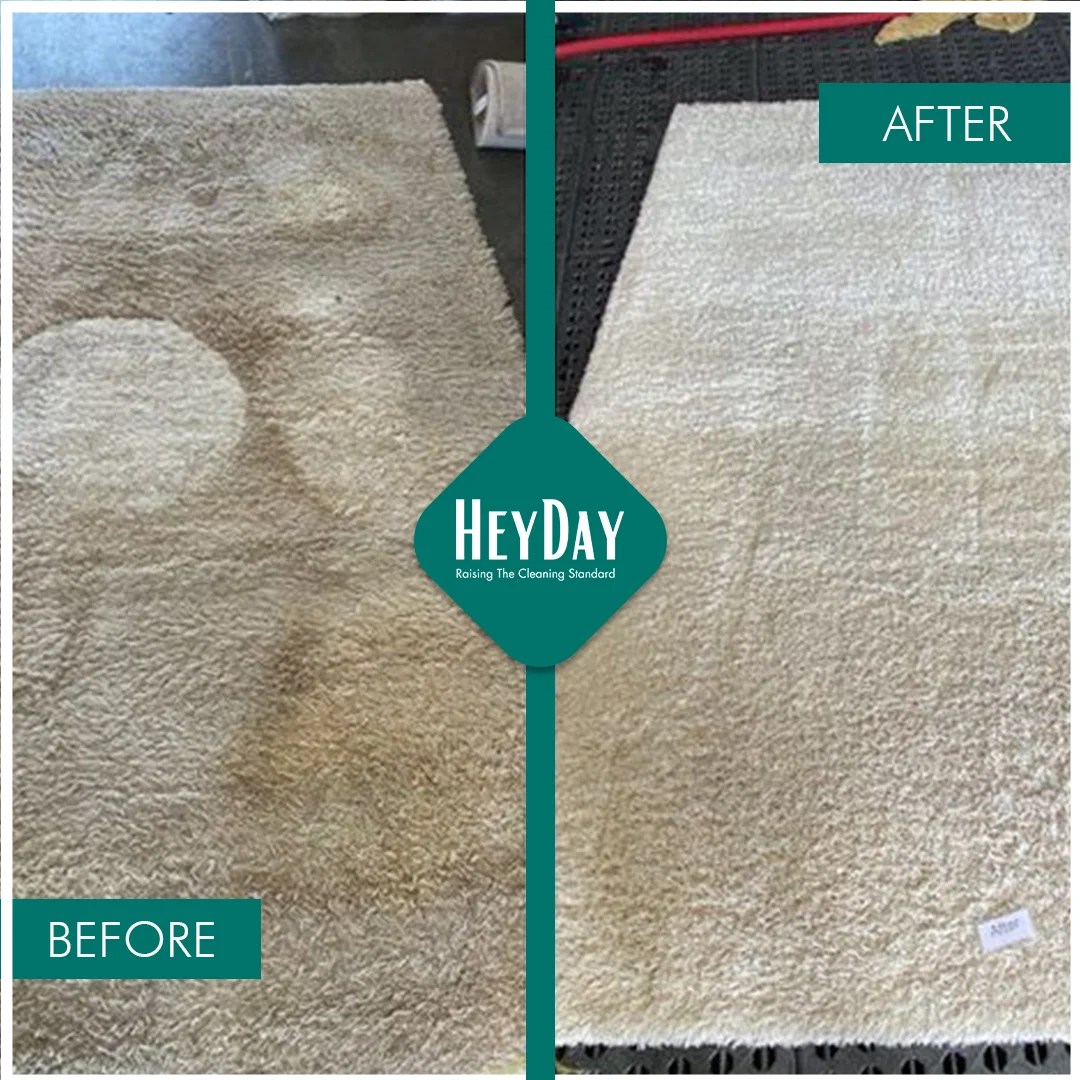 Carpet Cleaning Services Dubai Professional Carpet Cleaning Services