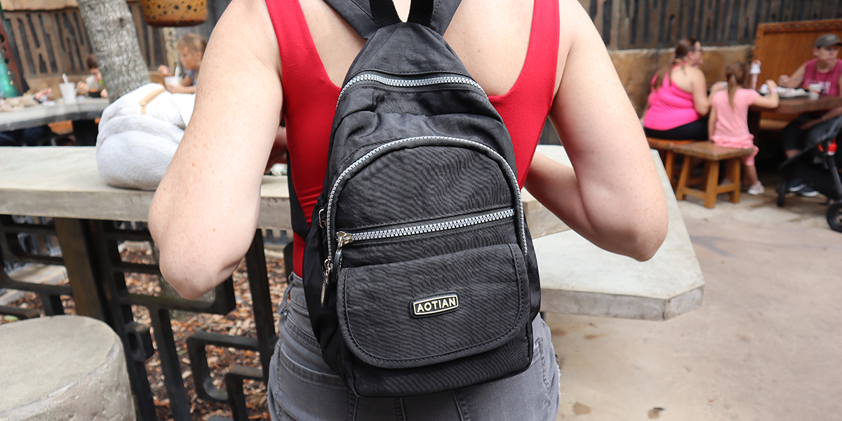 What You Do and Don’t Need in a Theme Park Backpack, the Ultimate List