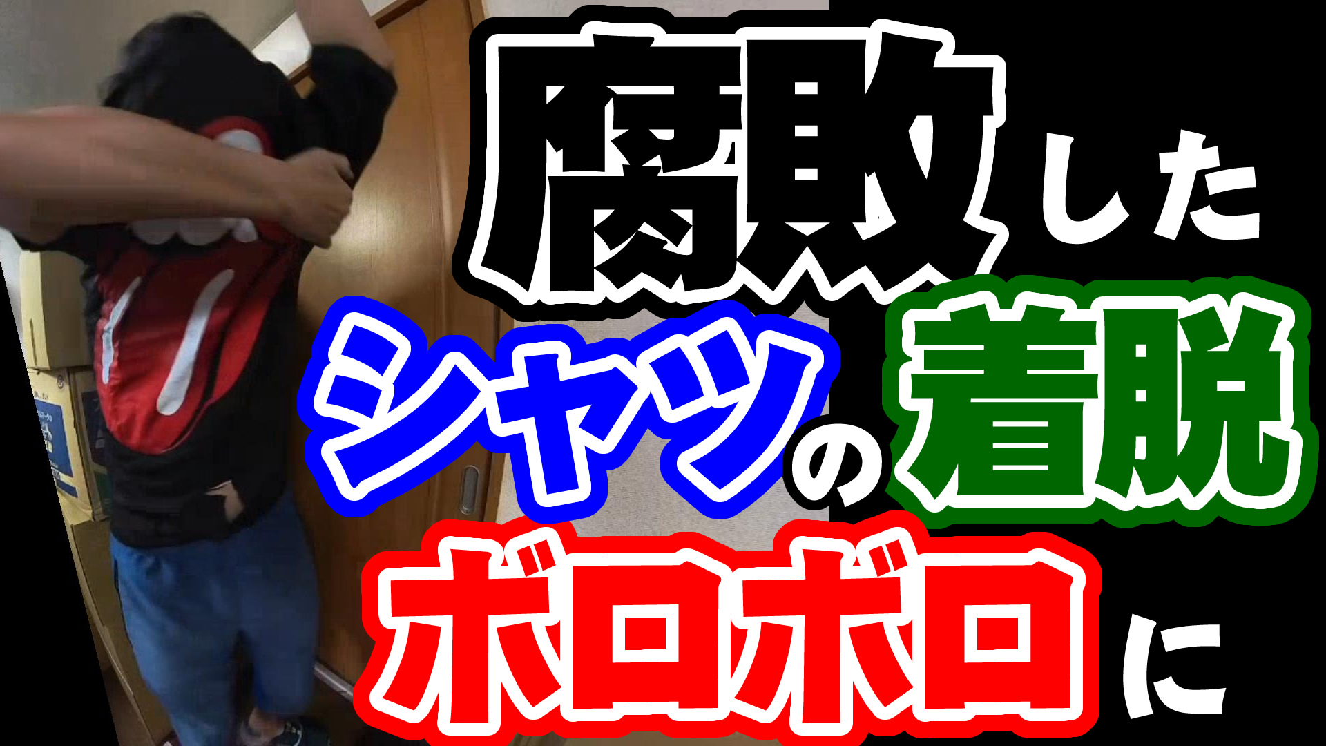 溶けるTシャツ│一瞬でボロボロになるDRY ROT(ドライロット：乾燥腐)の衣類を解説してみた