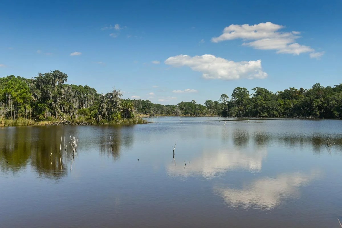 Edisto Island Waterfront Property Salt Point Fair & Lane