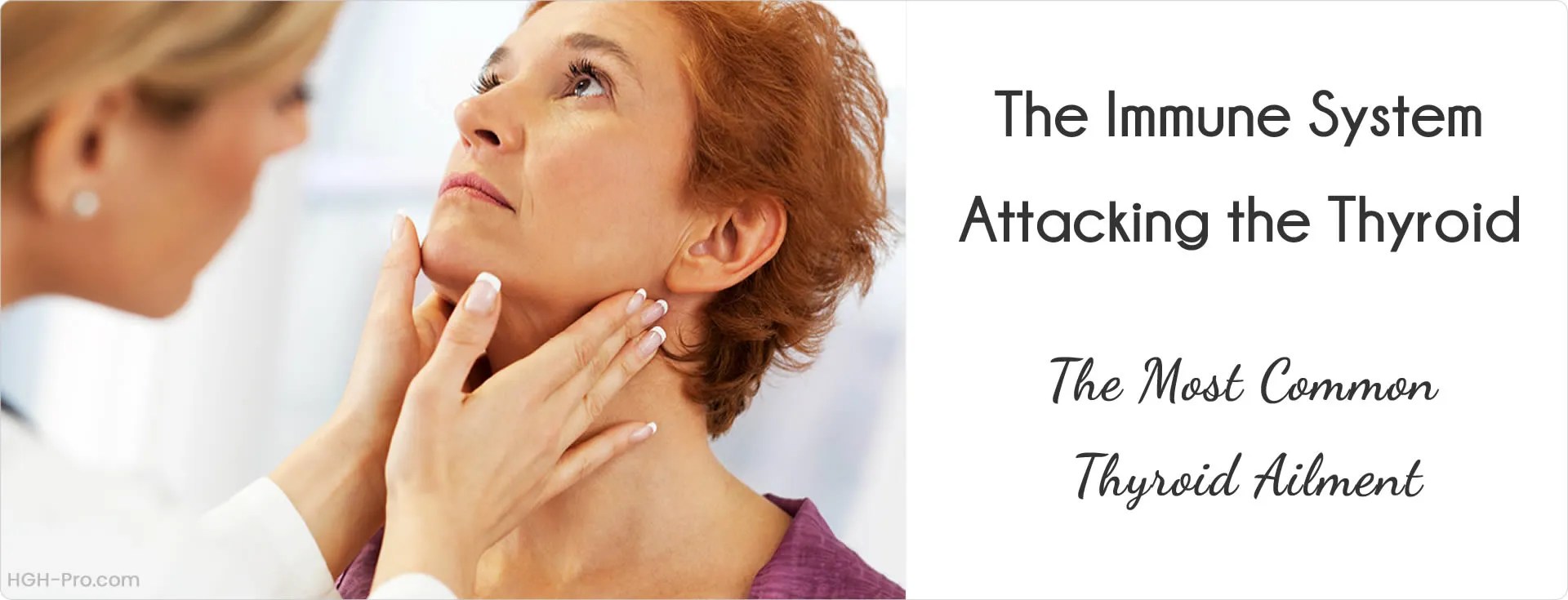 Thyroid Autoimmune Disorders The Most Common Thyroid Ailments