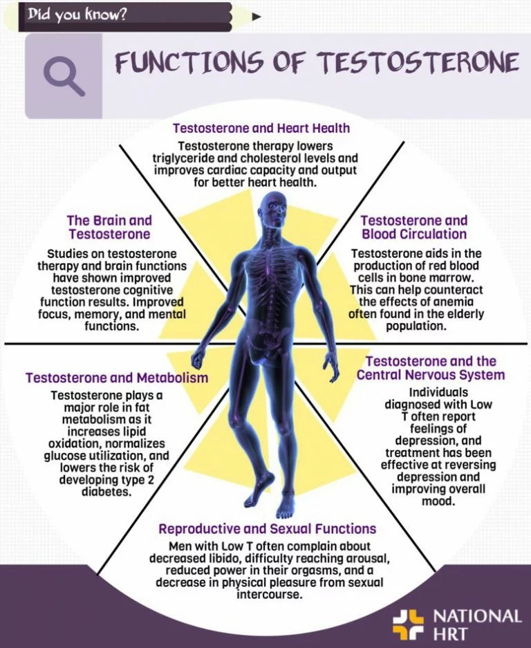 +12 How To Increase Testosterone Mentally 2022