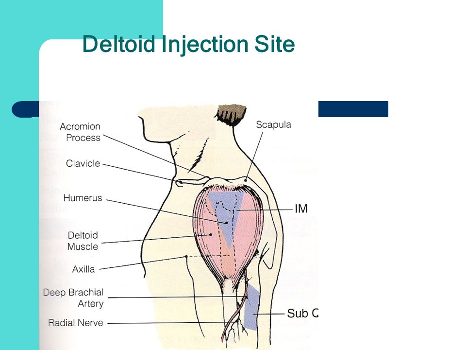 Deltoid Injection Site HGH Prescription