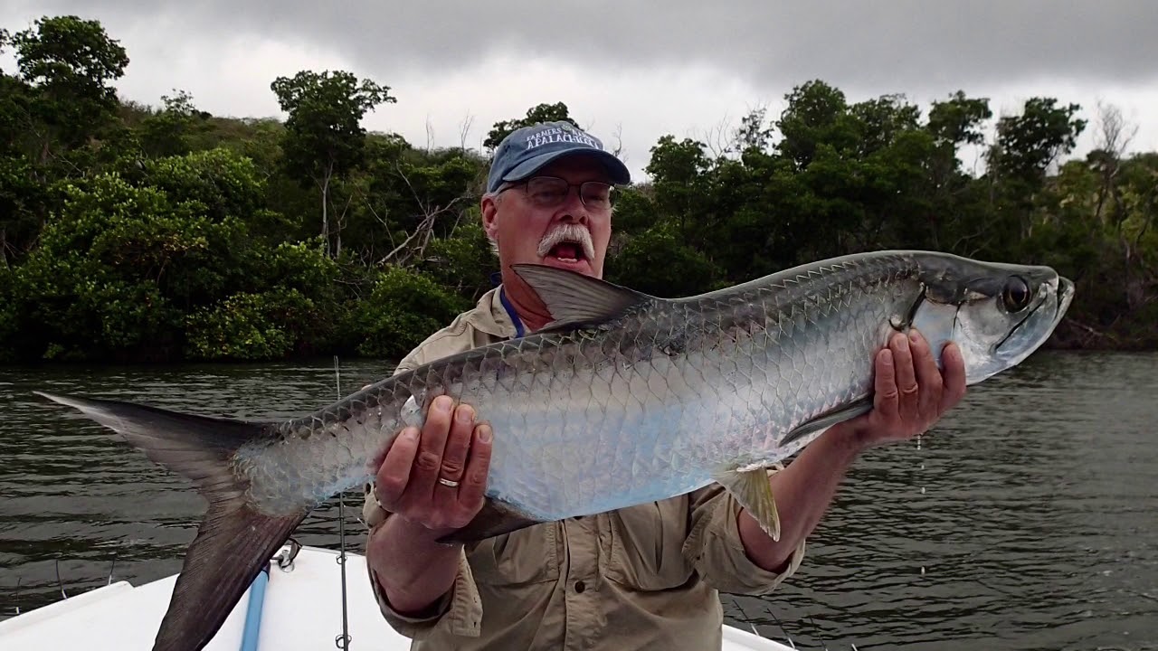Goodland Florida fishing charters Will Help You Have Smacking Fish