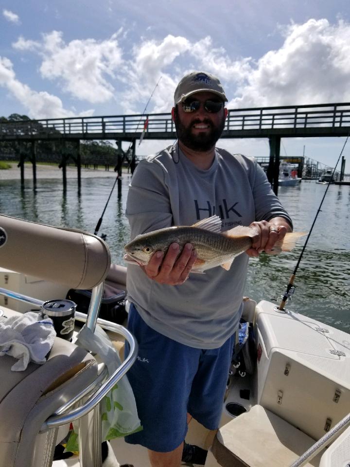 Boat Tours near Photo Gallery, SC Hilton Head Dolphin Tours