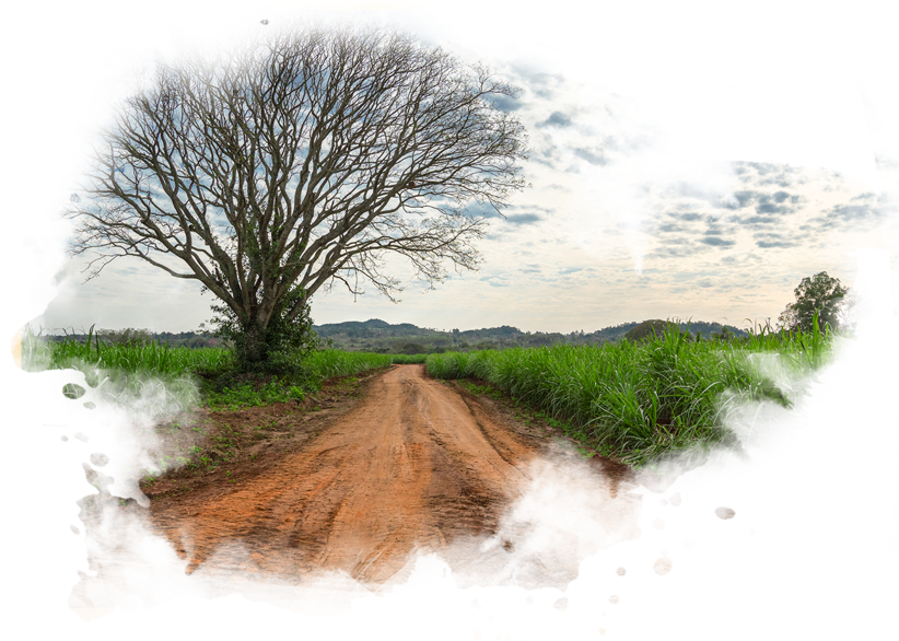 Hibernia Misiones About Us