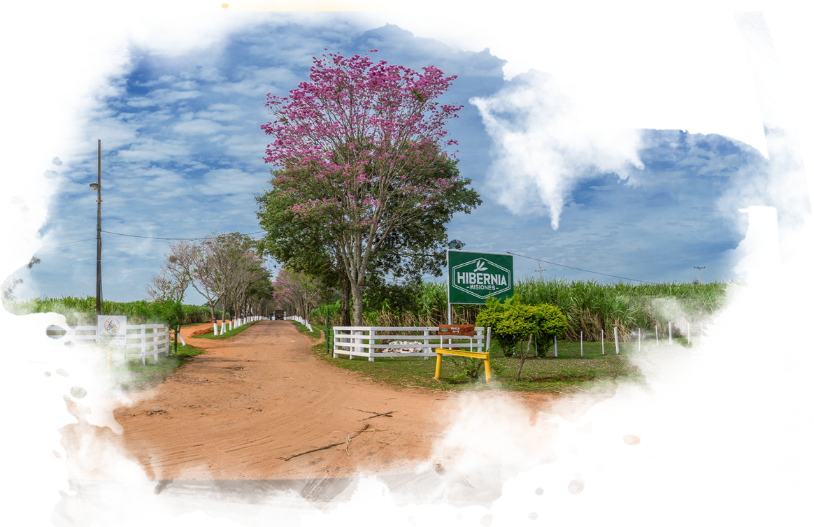 Hibernia Misiones Contact Us