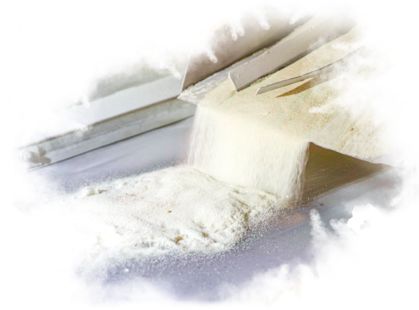 Hibernia Misiones Commitment Quality