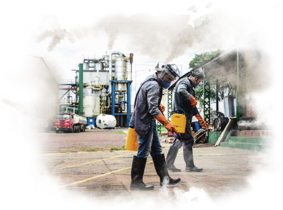 Hibernia Misiones Commitment to Technicity