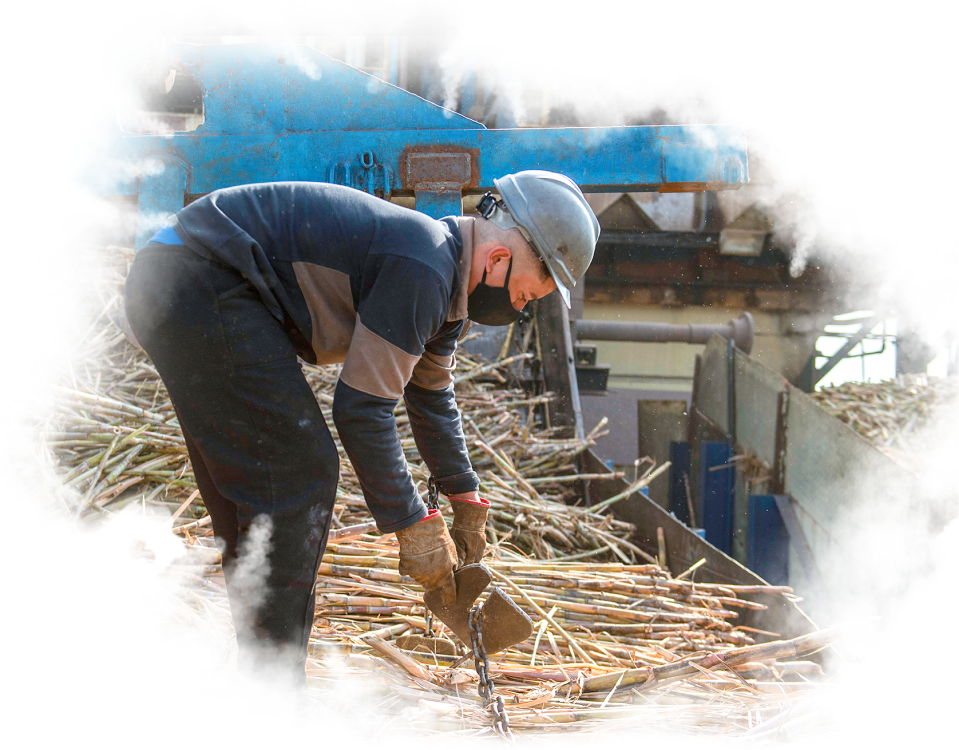 Hibernia Misiones Commitment to Technicity