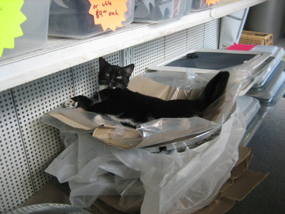 Hickory Enclosed Trailer Sales Enclosed Mororcycle and Race Trailers