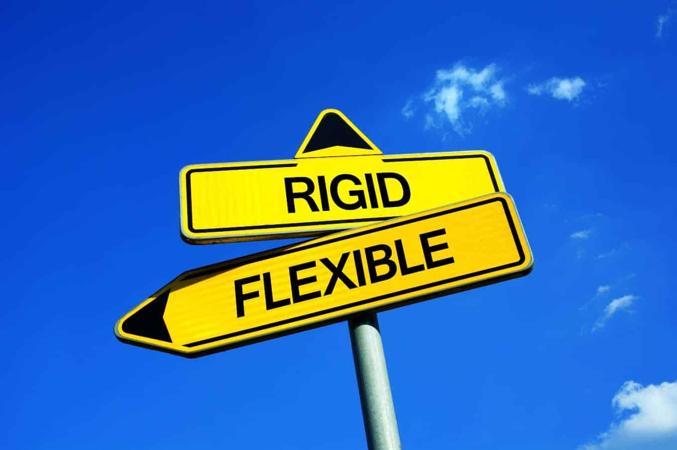 Flexible Technology Solutions Vs ‘Rigid’ Technology Solutions