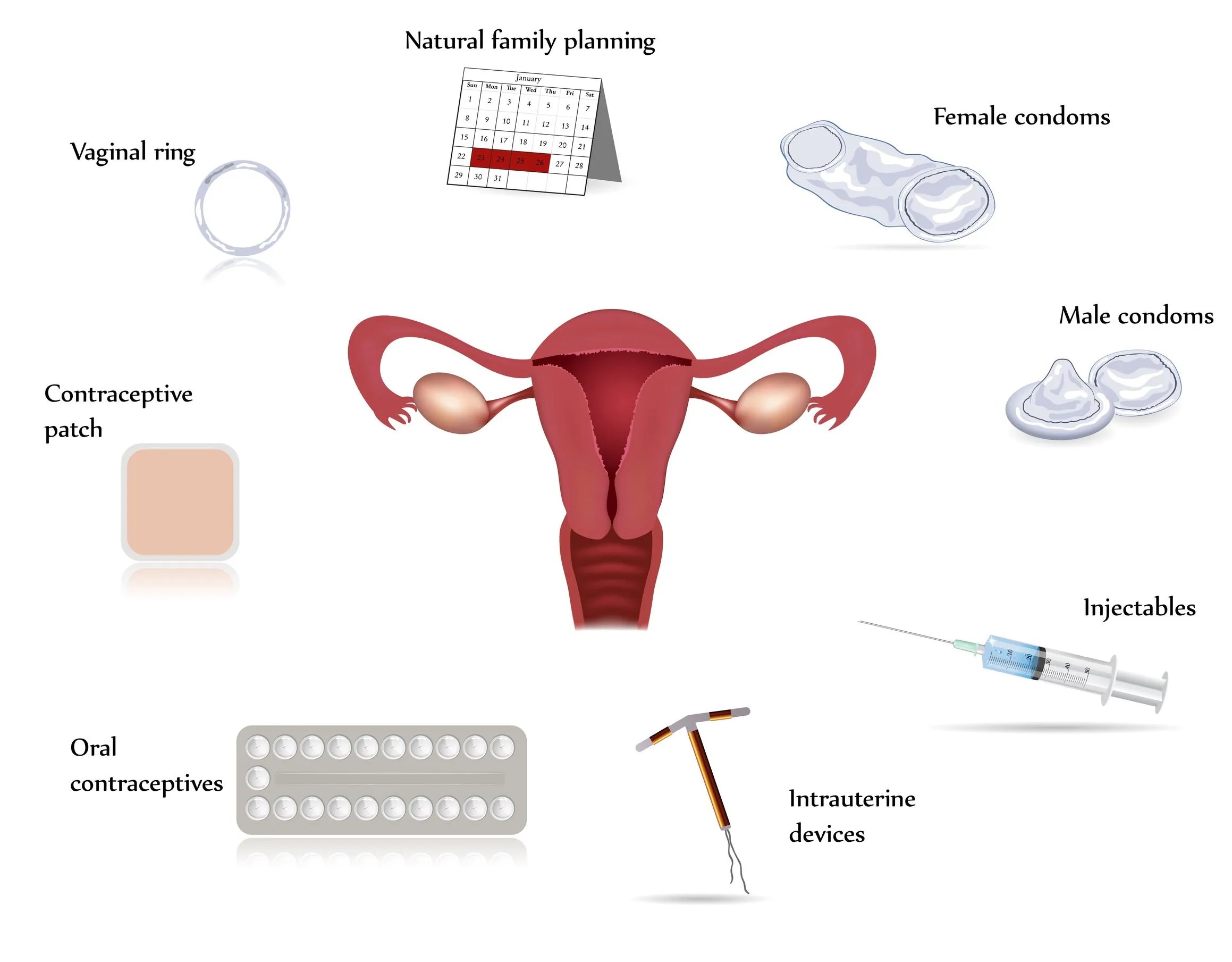 Contraception and Family Planning Everything you need to know Hidden