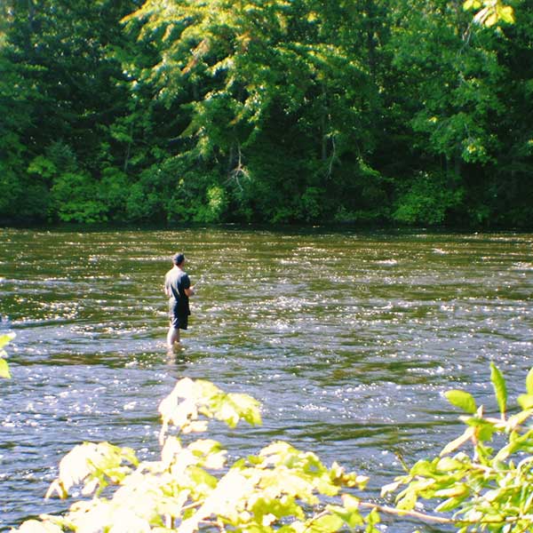 Reservations Hidden Acre Campground Reservations