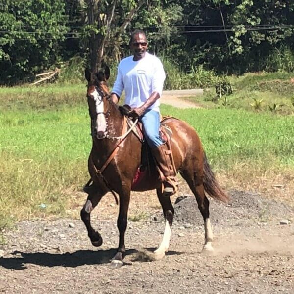 Ron Neal Hidden Bay Realty