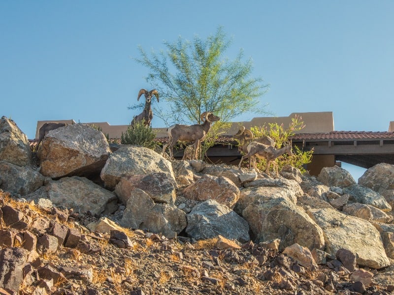 The Ridges North at Hidden Shores Resort in Yuma Arizona