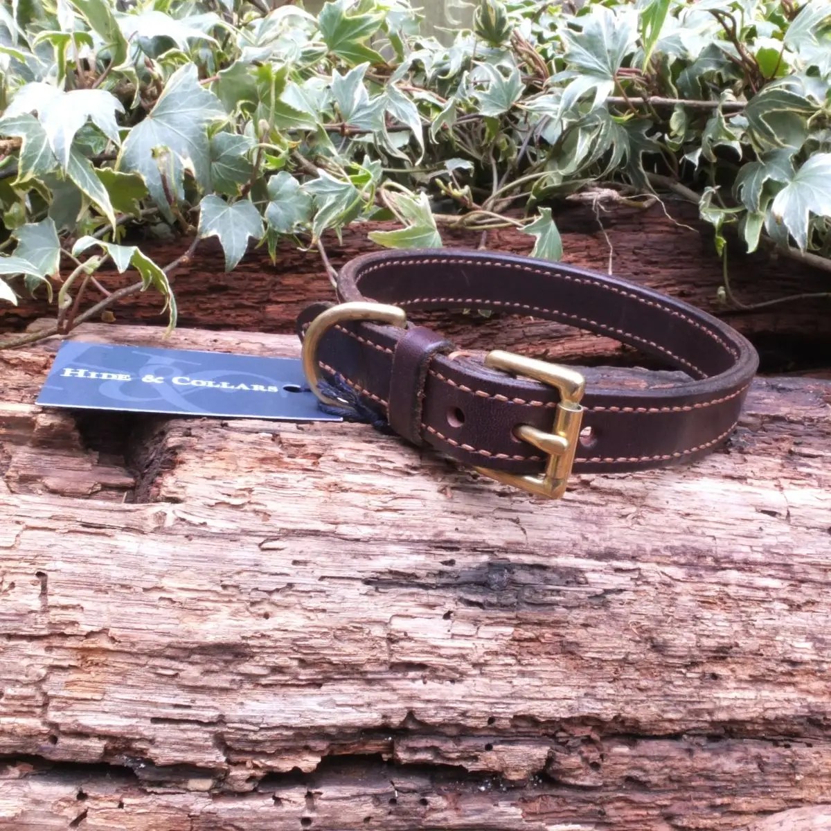 Stitched Traditional Collar Hide & Collars