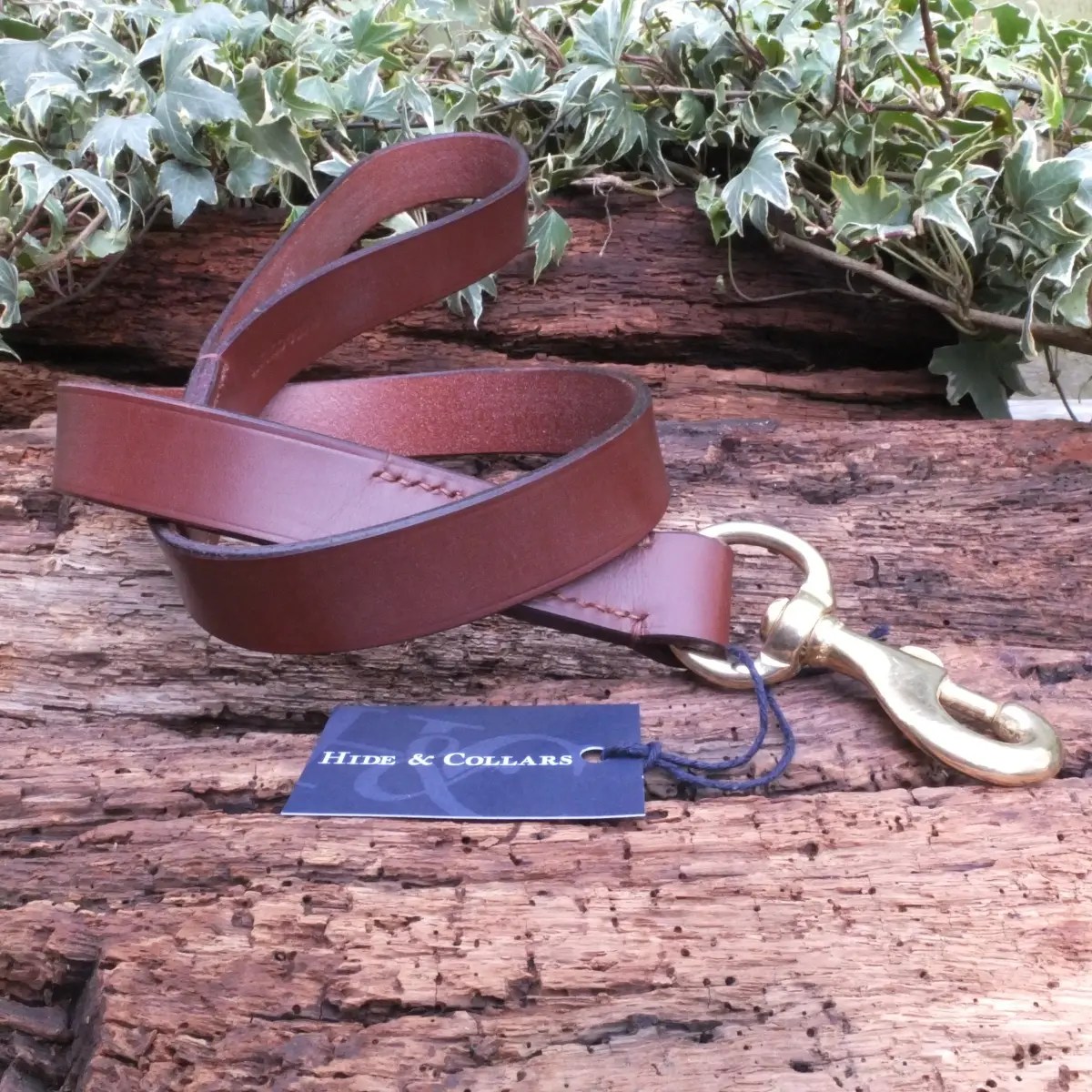 Leather Lead 3ft Hide & Collars