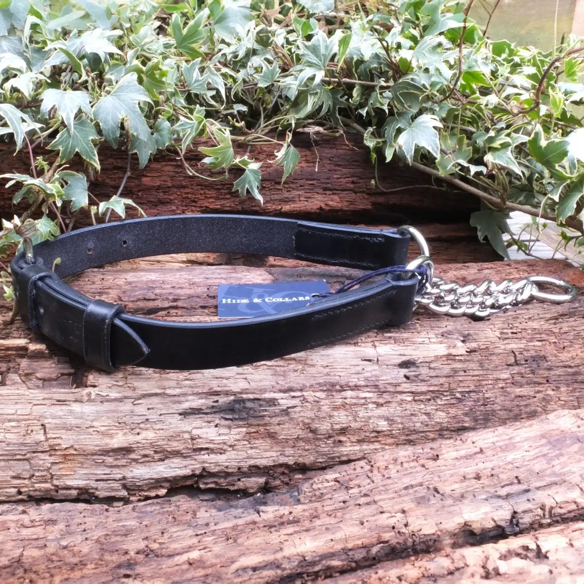 Leather Half Check Collar Hide & Collars