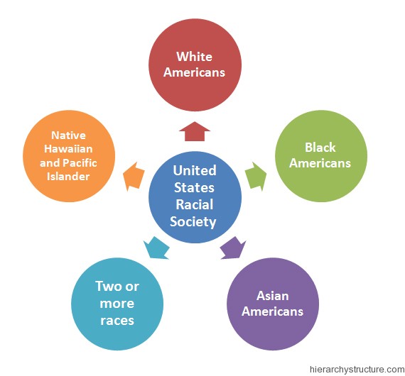 Racial Hierarchy In The United States Hierarchy Structure