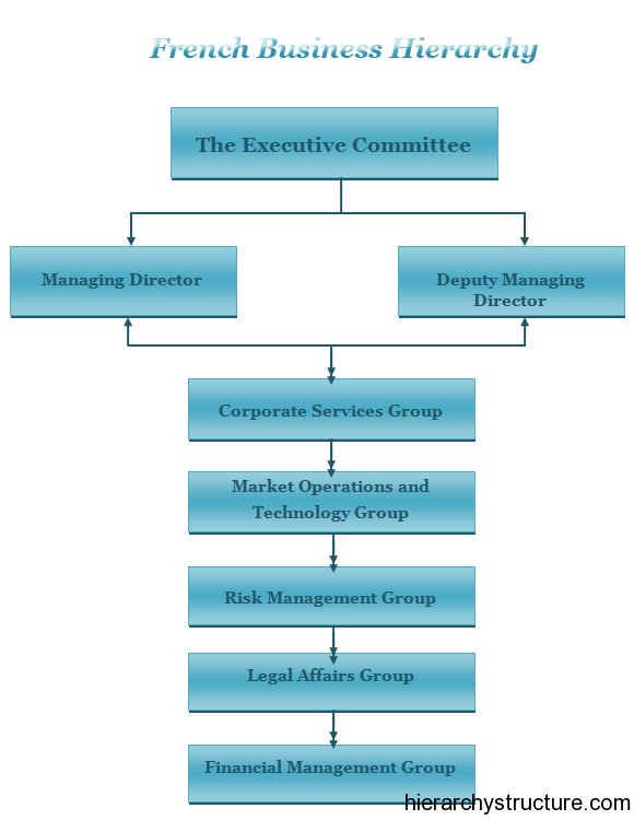 French Business Hierarchy